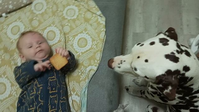 1000006465.mp4