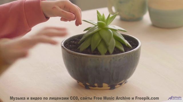 Клип, созданный искусственной гравитацией - как это возможно - Families -- HoliznaCC0 -- Only In The