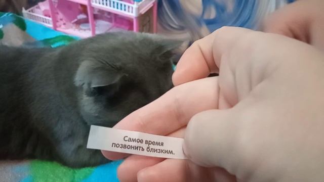 Печенье с предсказаниями