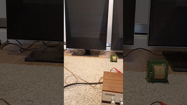 VID_20241124_155658