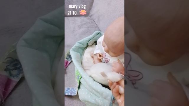 Mary vlog 🪷 вечерний влог, ночные процедуры