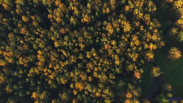 Пейзажи звучат громче любого оркестра с этим треком - Find A Way -- Small Tall Order -- Easily