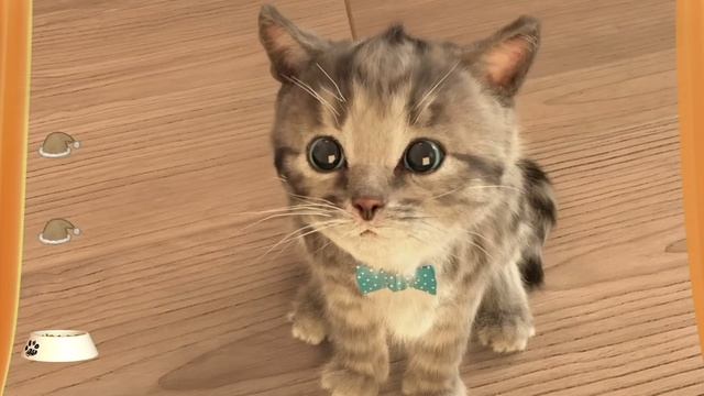 МОЙ МАЛЕНЬКИЙ КОТЕНОК №2. ИГРА про котят
