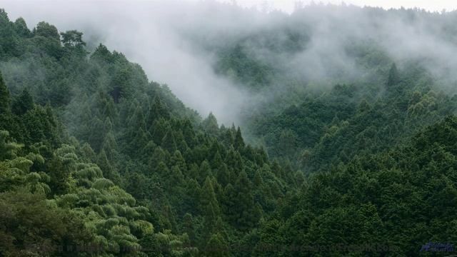 Невозможно отвести взгляд под такую музыку и виды - Disfraz (LIV) -- opo -- Estudios Indigeniformes