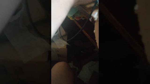 картонный дальнобойщик