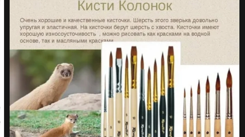Из чего изготавливают кисти?