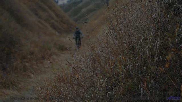 Эта композиция идеально сочетается с лесами - Cornershop -- Podington Bear -- Homage Fromage (Box Se