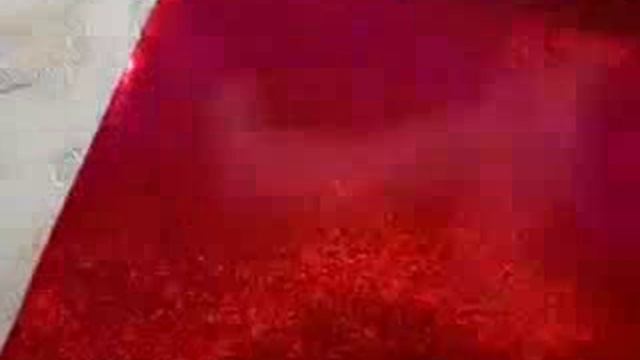 SVM_A0006.mp4