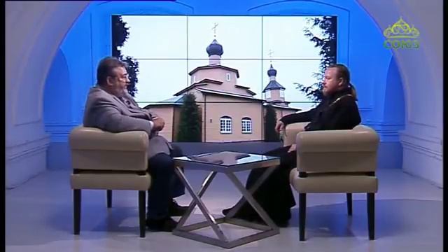 Ответы на вопросы. Животные