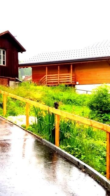 Камера поймала самую редкую секунду