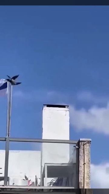 Символично, однако_ Чёрный ворон что ж ты вьёшься надо мной?