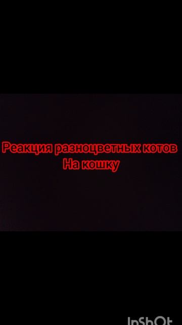 вам решать