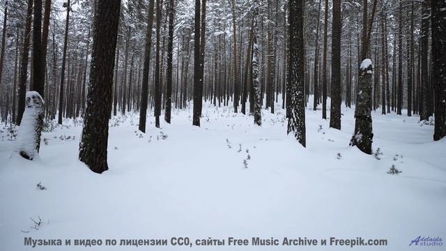 Звук уносит туда, где заканчиваются карты и дороги - 20 Minute Meditation 8 -- HoliznaCC0 -- Space -