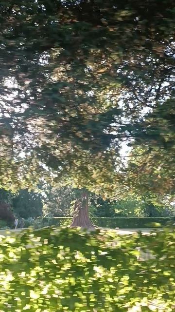 The Slaughters Manor House, Лоуэр Слотер, Котсволдс, Англия (Lower Slaughter, Cotswolds, England)