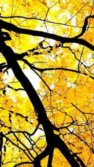 Камера сняла нечто особенное