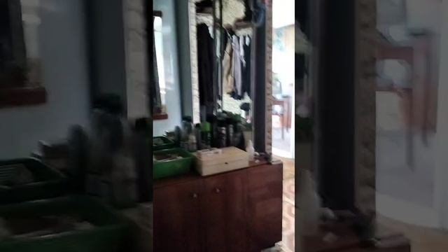 1000014293.mp4