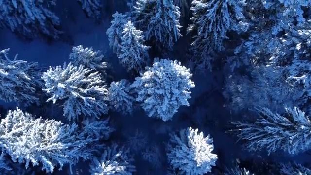 Шелковые звуки природы, гармония ветра и воды — Часть 7
