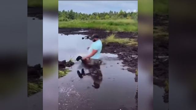 Басеком по болоту
