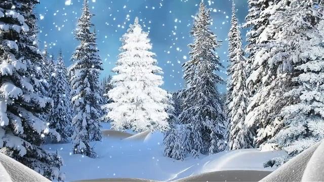 Футаж Зимний лес 1