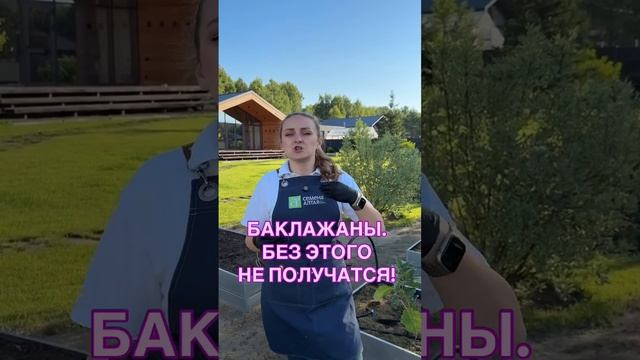 Баклажаны без этих советов не вырастут 🍆