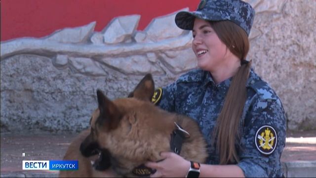 Лучших кинологов определяли на ведомственном турнире в Иркутске