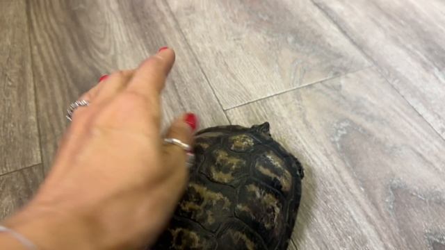 Сегодня работа в офисе