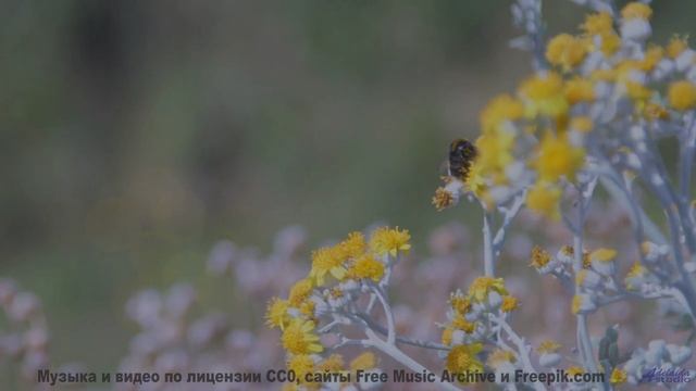 Это видео - как сон, в который хочется верить! - Rising -- Johannes Weber -- Unnamed album