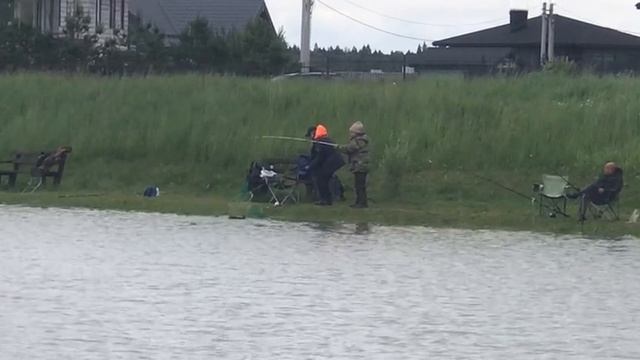 поимка карпа на малом водоёме