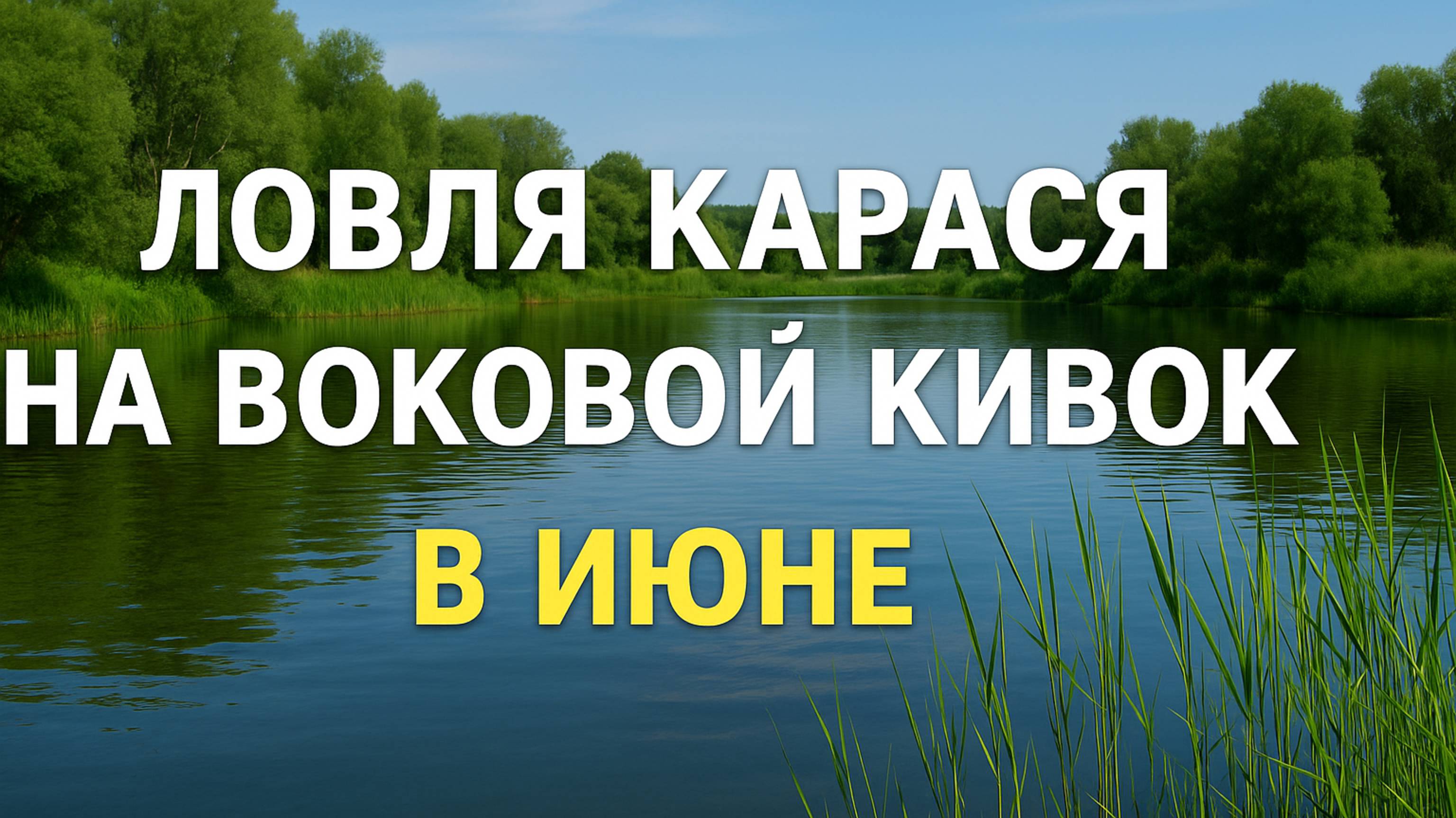 Ловля карася на боковой кивок в июне — клёв с каждой точки у кувшинок!