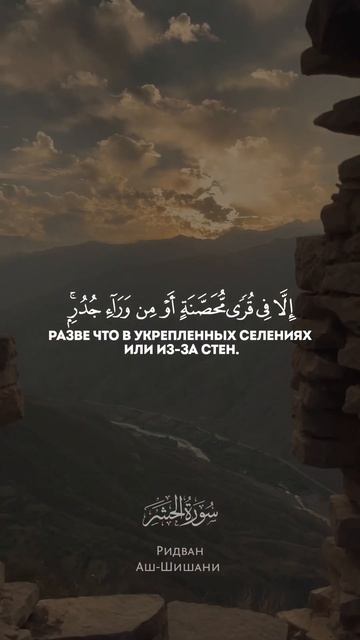 Сура 59 Аль-Хашр. Ридван аш-Шишани