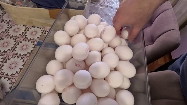 Яйца какие лучше купить. Отзыв покупателя