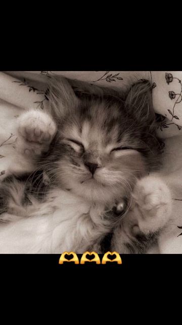 Милашки 😍