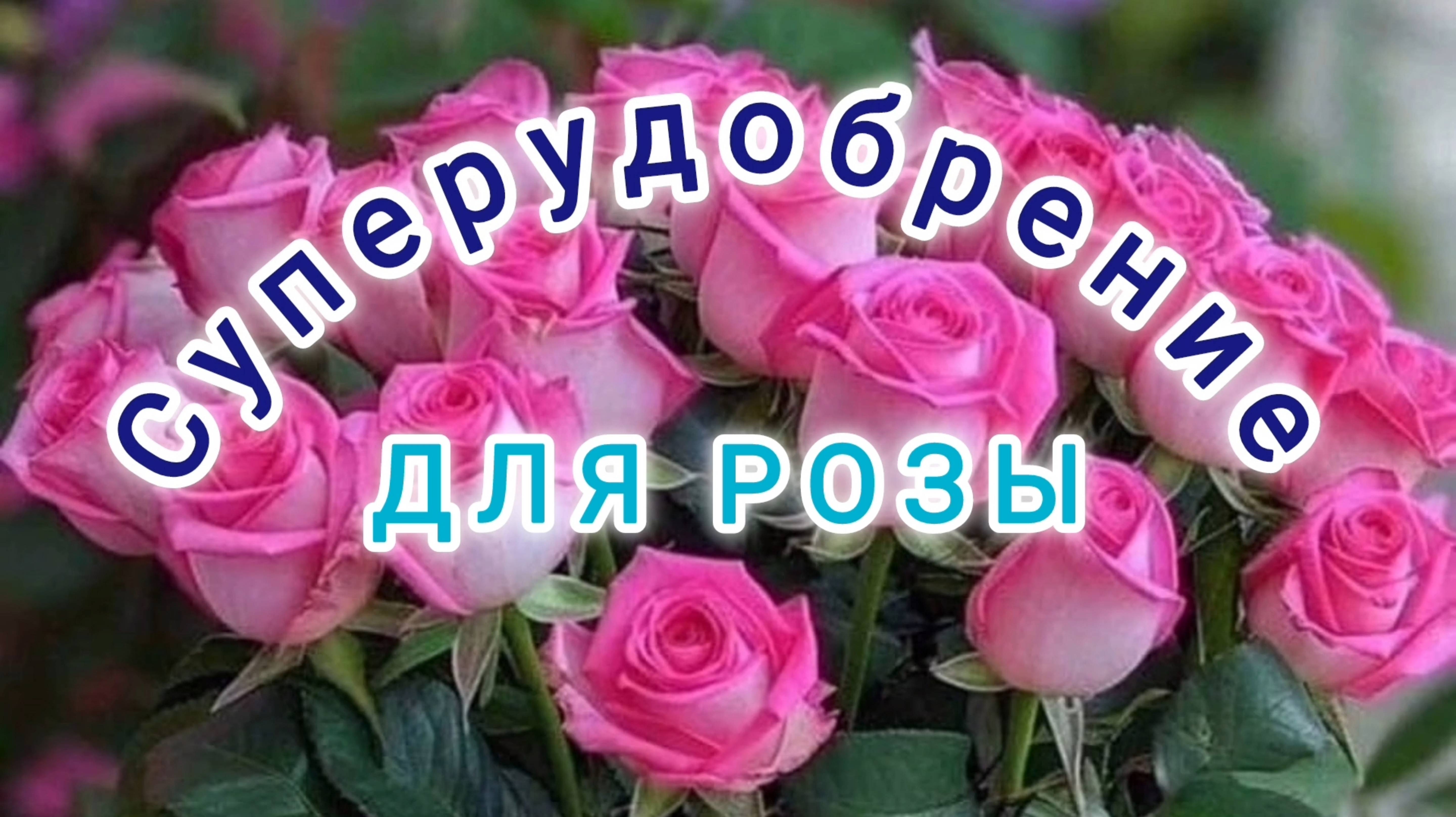 СУПЕРУДОБРЕНИЕ ДЛЯ РОЗЫ