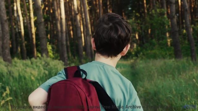 Душа поёт, а тело замирает при таких аккордах - The Man Who Murders Love -- Taylor Poe -- Quiet Soun