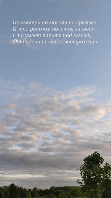 20.06.25 АЗ #ниднябезрифмы