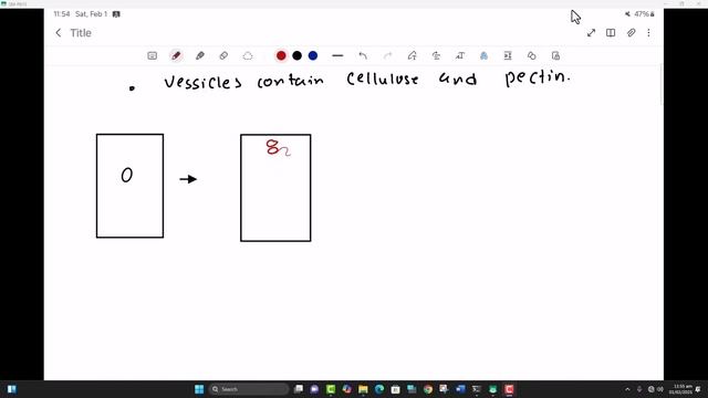 Biology-Imat-Lecture-20