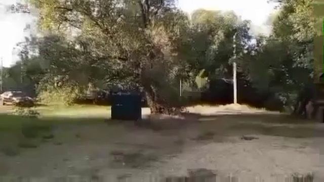 Best of the best video 2025