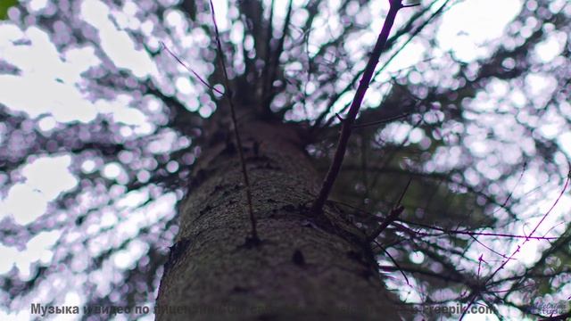 Эта музыка превращает любой отель в романтическое убежище - Granular Dreams -- Soft and Furious -- Y