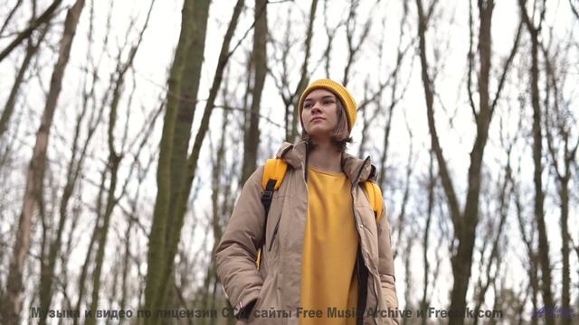 Вы не видели Землю такой, пока не услышали этот трек! - Inner Love -- Vincent Augustus -- Inner Love