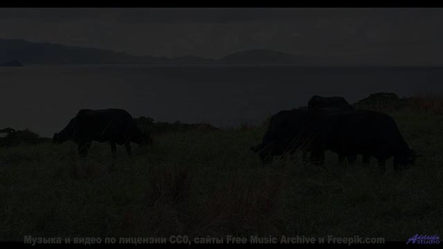 Пейзажи качают сердце, как волны качают море - Inner Conflict -- Kirk Osamayo -- Season Two (YELLOW)