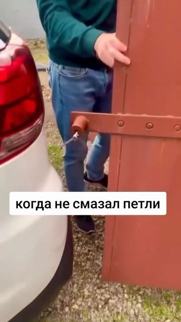 Когда не смазал петли