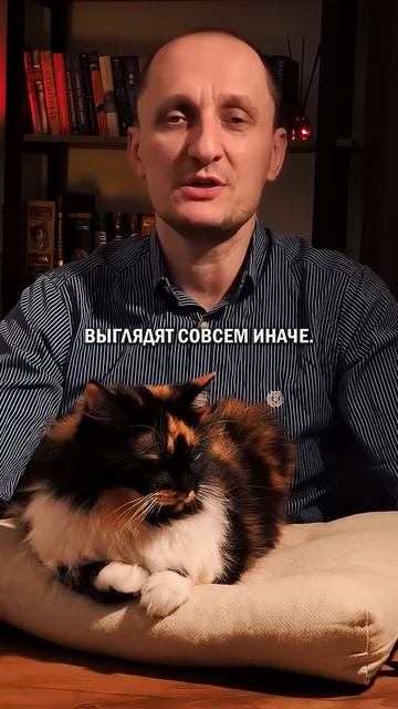 Где все настоящие? #настоящиймужчина #психология #мужскаясила
