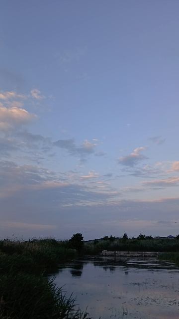 природа 37