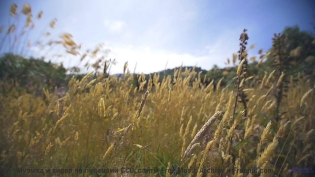 Музыка наполняет душу лёгкостью при каждом кадре - Primavera en la Guerra del Sonido -- Silva de Ale