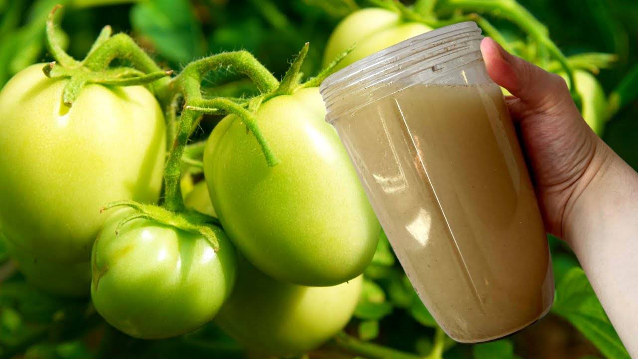 ОТ ВЕРШИНКИ, ОТ ЖИРОВАНИЯ, ОТ ХЛОРОЗА и для завязей, СУПЕР ПОДКОРМКИ для томатов, огурцов, перцев
