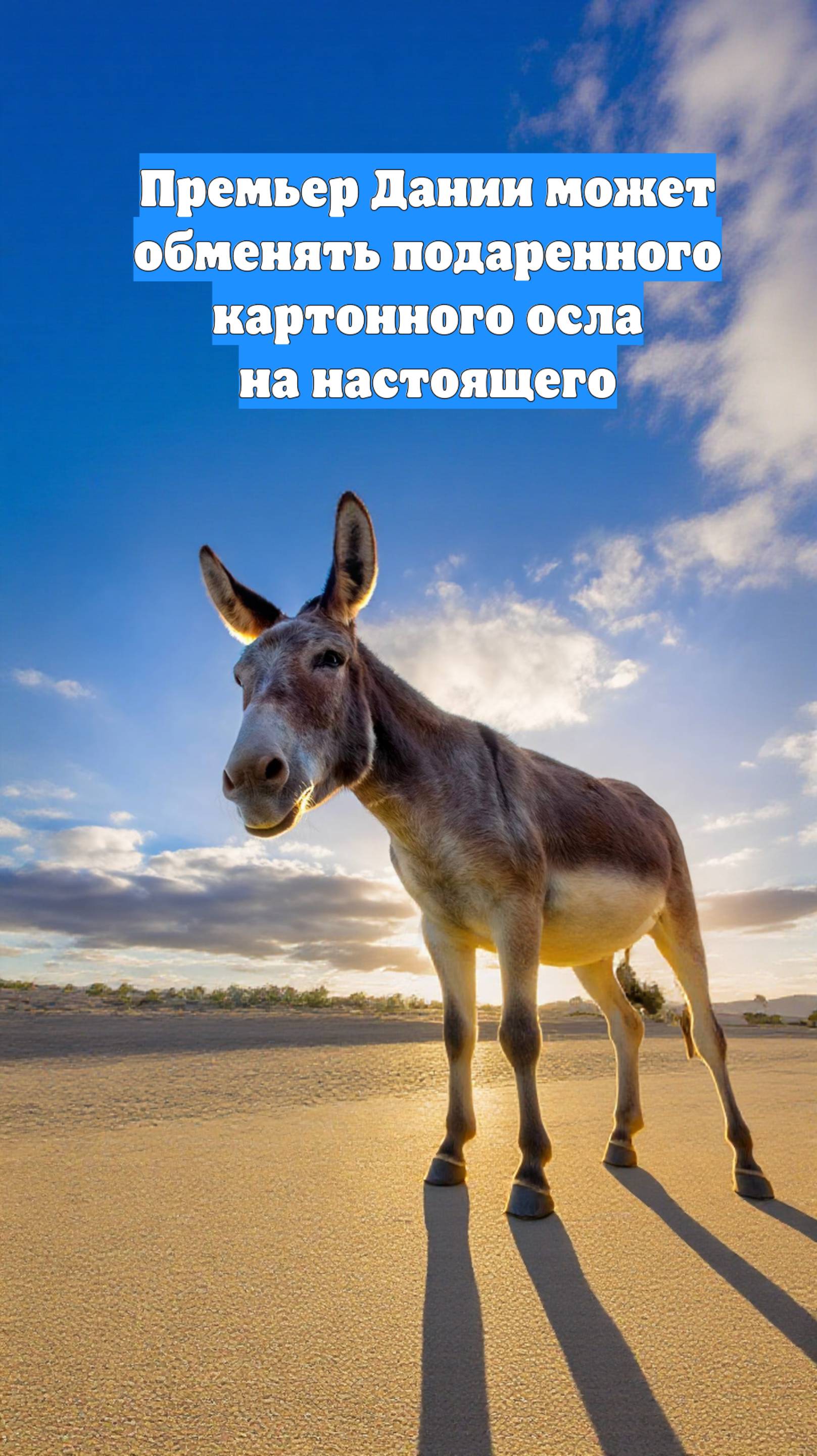 Премьер Дании может обменять подаренного картонного осла на настоящего