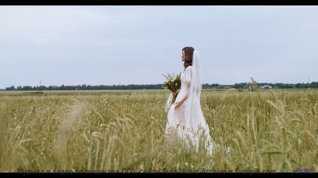 Это видео ЗАПРЕЩЕНО показывать детям! - Dust -- Tim Woulfe -- A House Is A Holding