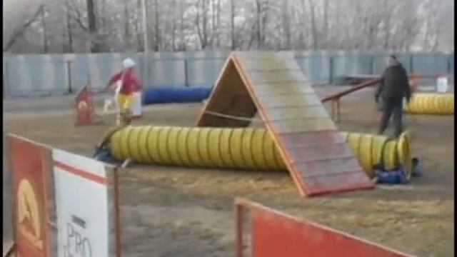 Кубок Ярославской обл  30 11 2014