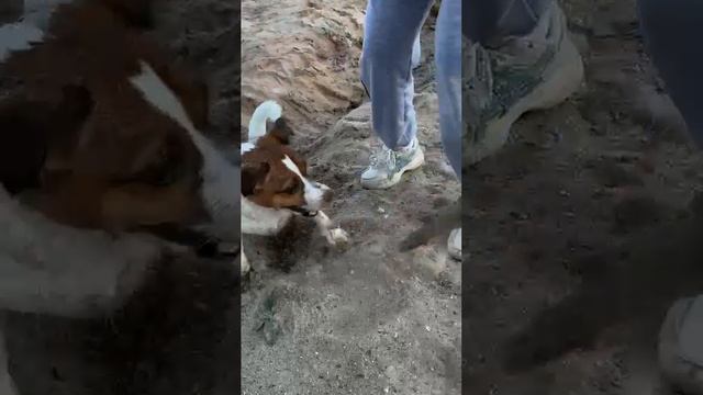 VID-20250621-WA0003.mp4