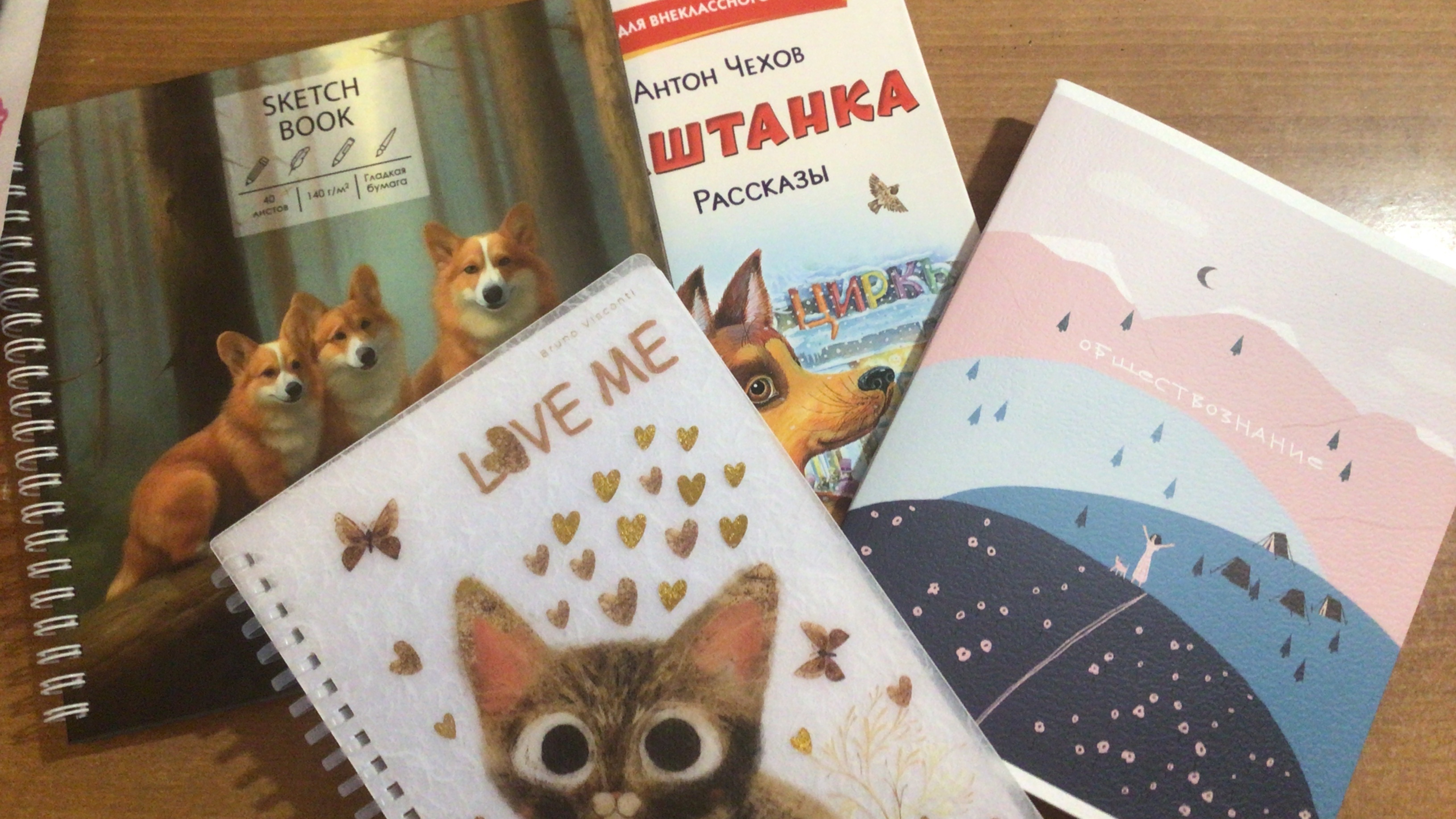 Распаковка канцелярии с книжного